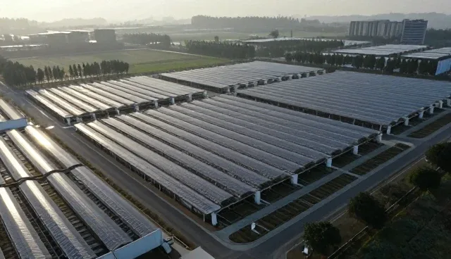 中西医结合诊疗在基层医疗机构的应用痛点分析